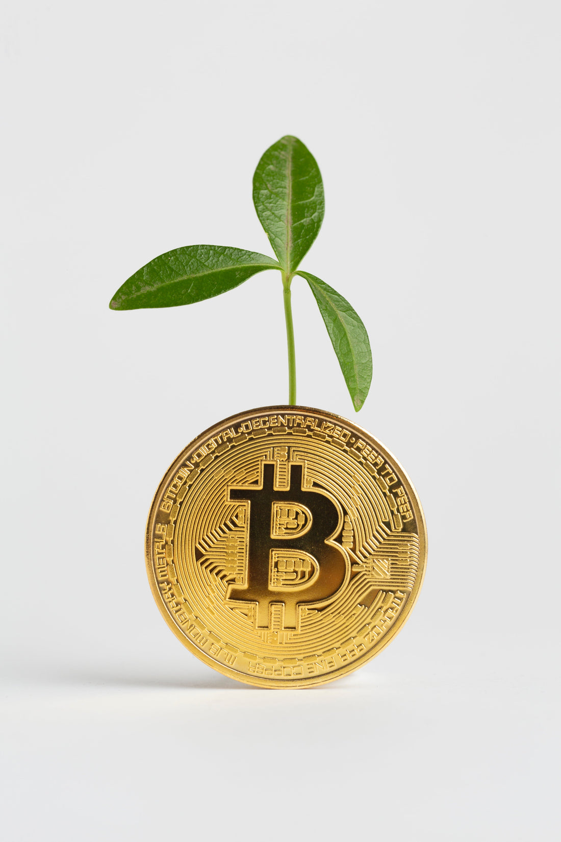 What is Bitcoin? A Beginner’s Guide