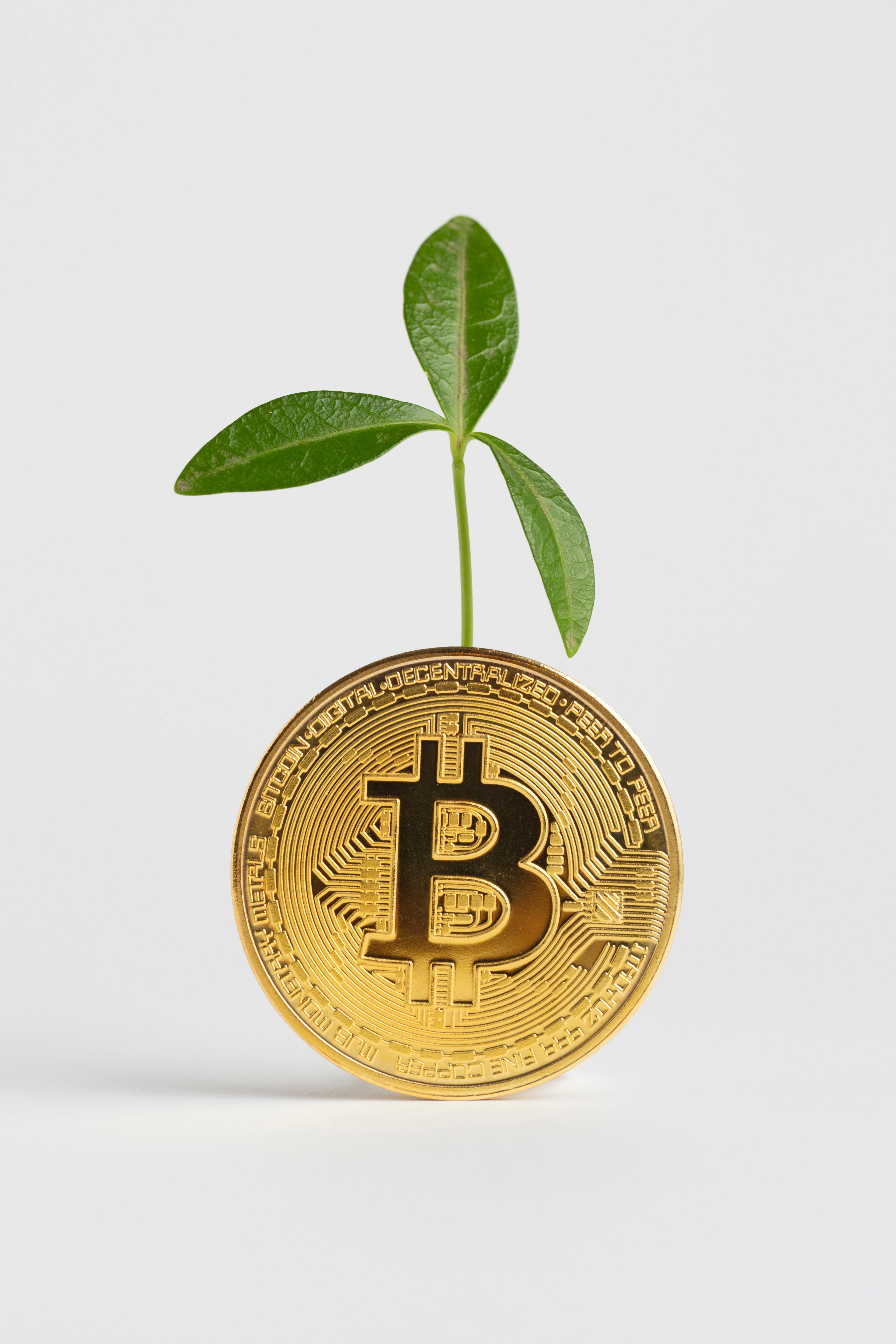 What is Bitcoin? A Beginner’s Guide